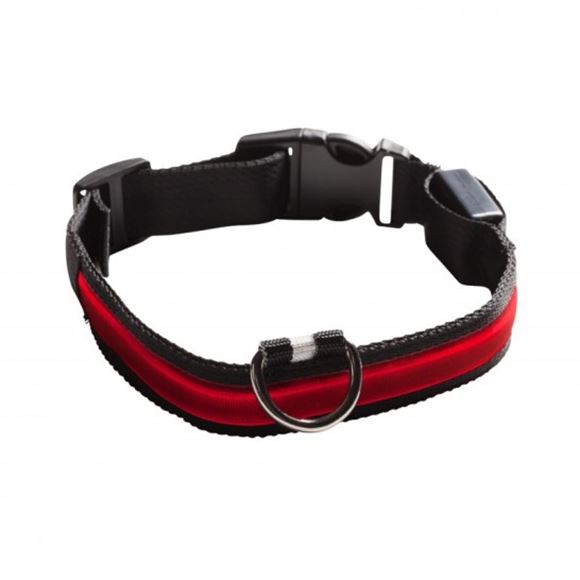 Picture of LIGHT COLLAR RED M